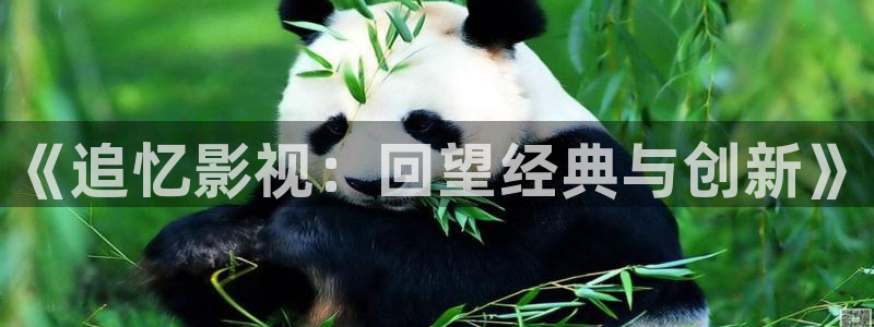 青苹果影院yy6090